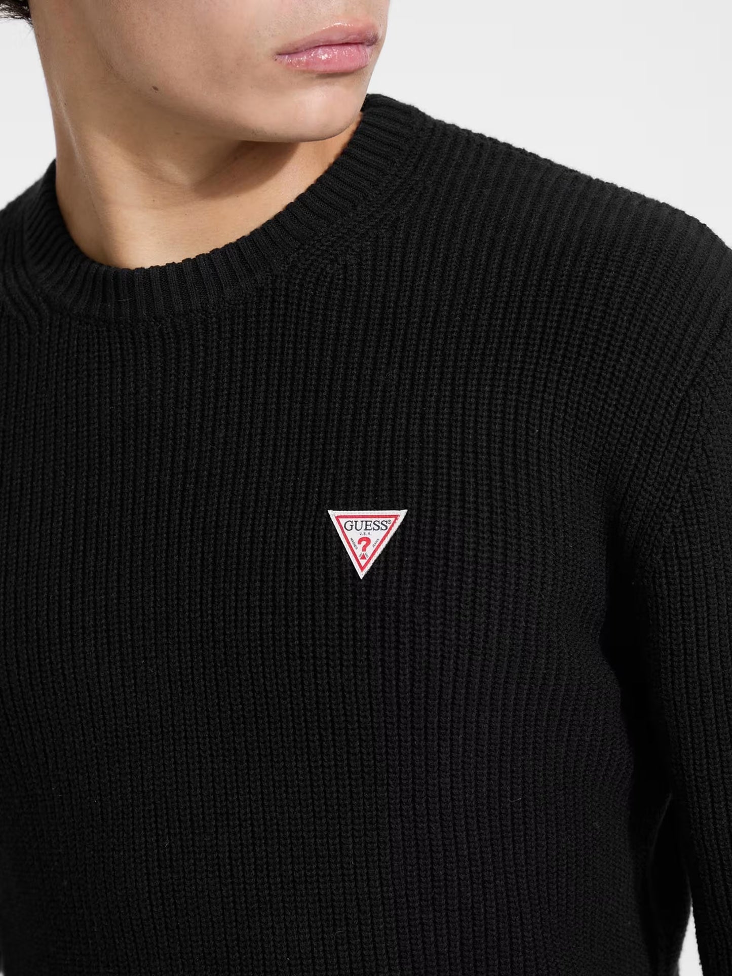 Mini Triangle Swtr Guess Jeans