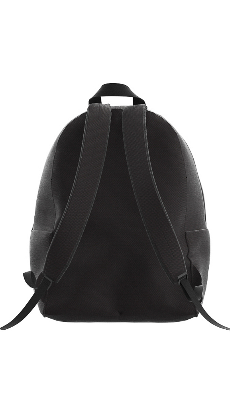 Daypacks Voyage 3 Napapijri