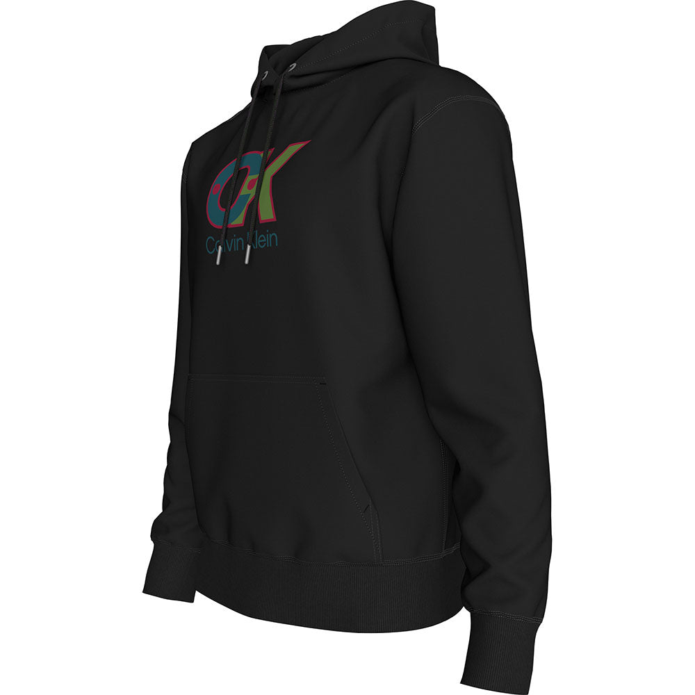 Sweatshirt Hoodie Calvin Klein