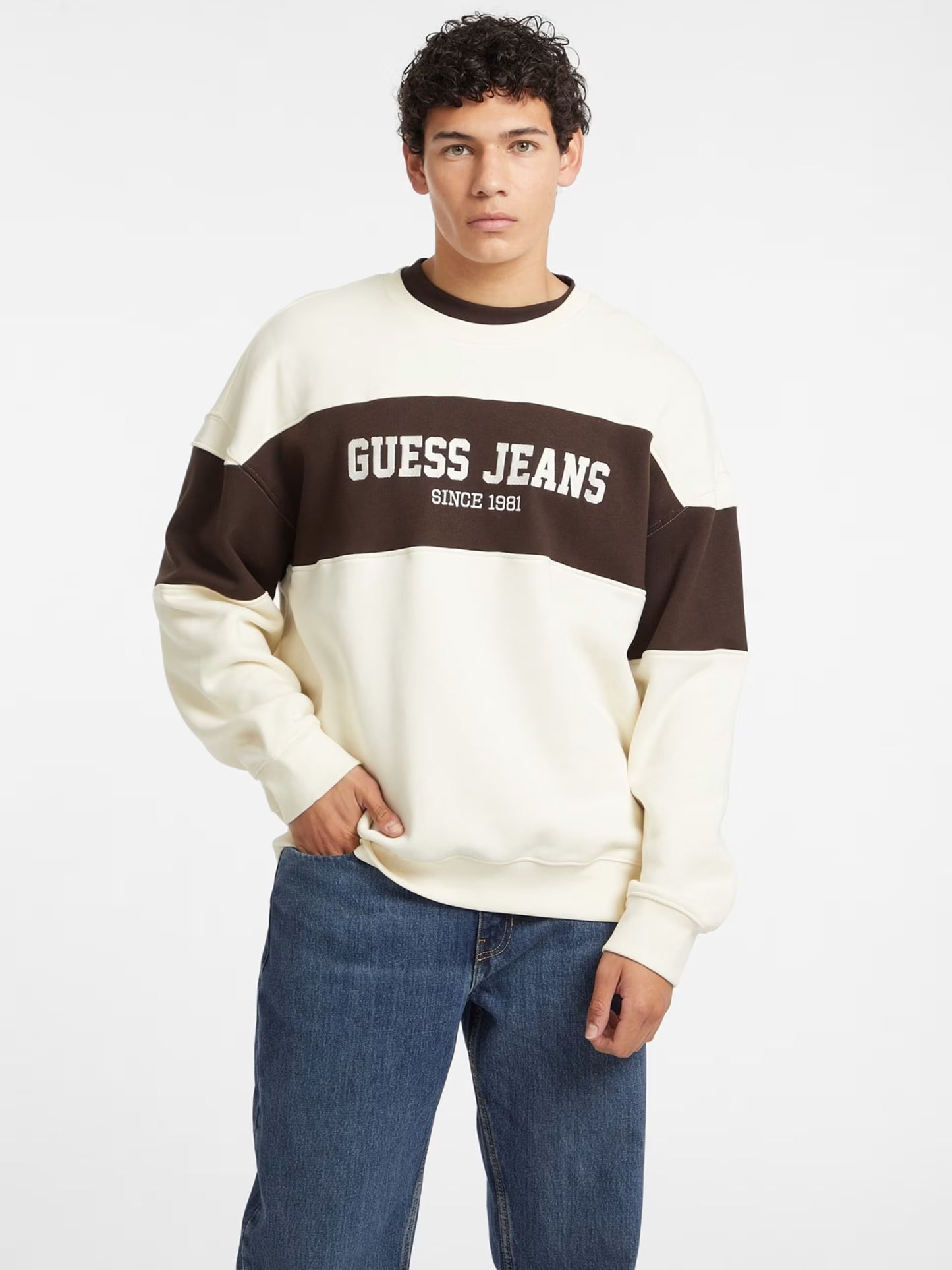 Horizont Stripe Sweat Guess Jeans