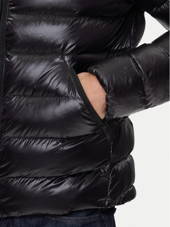 Adams Giubbino Blauer