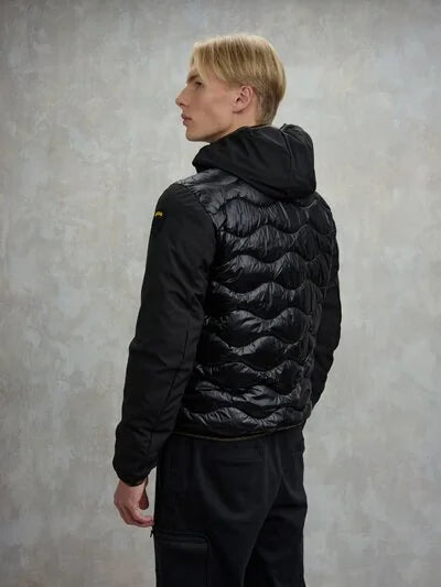 Albert Giubbino Blauer