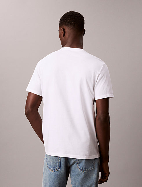 T-Shirt Calvin Klein